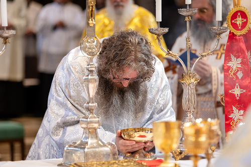 Priesterweihe Byzantinischer Ritus im Stephansdom / Erzdiözese Wien/ Schönlaub